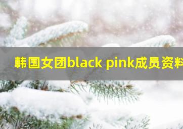 韩国女团black pink成员资料